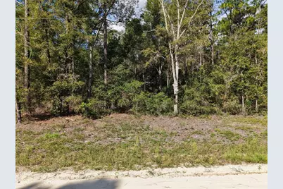 6339 NW 17th Court, Bell, FL 32619 - Photo 6