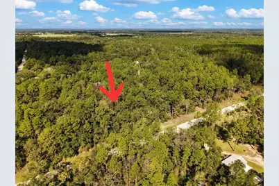 6339 NW 17th Court, Bell, FL 32619 - Photo 1
