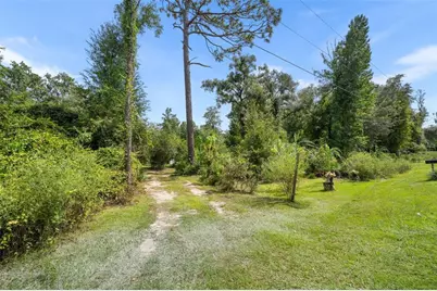 240 SE 923rd Street, Old Town, FL 32680 - Photo 28