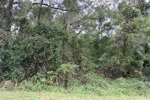 0 NW 66th Terrace, Chiefland, FL 32626 - Photo 1