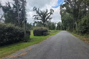 5950 NW 135th St, Chiefland, FL 32626 - Photo 6