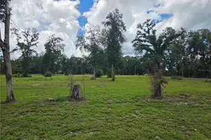 5950 NW 135th St, Chiefland, FL 32626 - Photo 8
