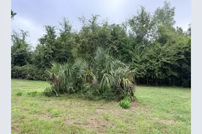 6690 NW 100th Street, Chiefland, FL 32626 - Photo 4