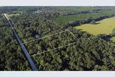 Tbd NW 48th , Lot 15 Terrace, Chiefland, FL 32626 - Photo 4
