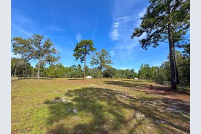 104 Doe Trail, Hawthorne, FL 32640 - Photo 36