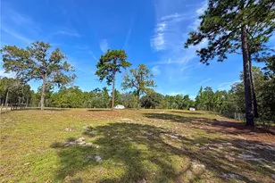 104 Doe Trail, Hawthorne, FL 32640 - Photo 36