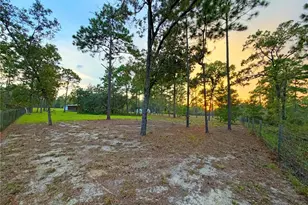 104 Doe Trail, Hawthorne, FL 32640 - Photo 52