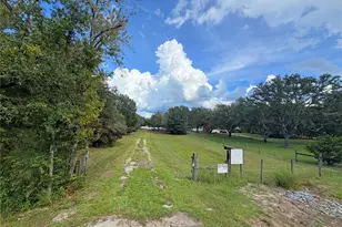 104 Doe Trail, Hawthorne, FL 32640 - Photo 78