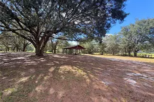 104 Doe Trail, Hawthorne, FL 32640 - Photo 80