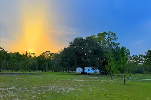 104 Doe Trail, Hawthorne, FL 32640 - Photo 88