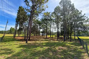 104 Doe Trail, Hawthorne, FL 32640 - Photo 30