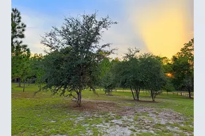 104 Doe Trail, Hawthorne, FL 32640 - Photo 68