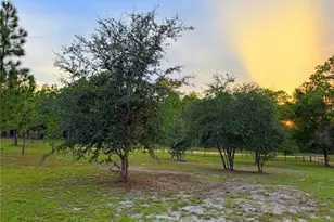 104 Doe Trail, Hawthorne, FL 32640 - Photo 68