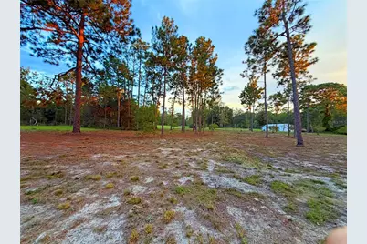 104 Doe Trail, Hawthorne, FL 32640 - Photo 50