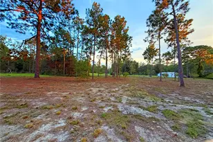 104 Doe Trail, Hawthorne, FL 32640 - Photo 50