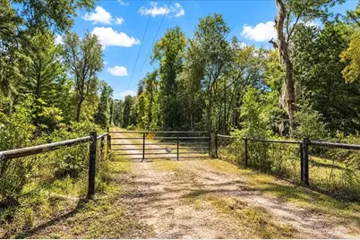 12150 NE 75th Street, Bronson, FL 32621 - Photo 4