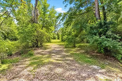 12150 NE 75th Street, Bronson, FL 32621 - Photo 6