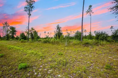 Tbd 211th Court, Live Oak, FL 32060 - Photo 6