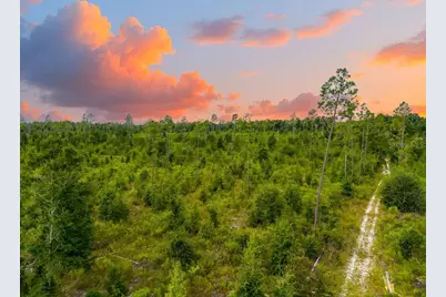 Tbd 211th Court, Live Oak, FL 32060 - Photo 8