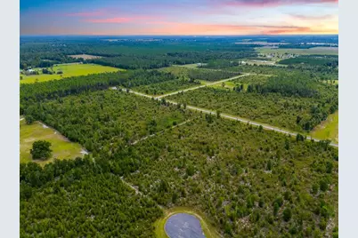 Tbd 211th Court, Live Oak, FL 32060 - Photo 10