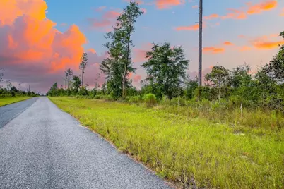 Tbd 211th Court, Live Oak, FL 32060 - Photo 2