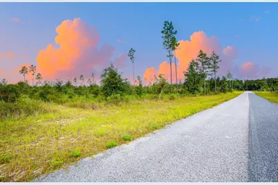 Tbd 211th Court, Live Oak, FL 32060 - Photo 4