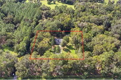 20944 NW 100th Avenue Road, Micanopy, FL 32667 - Photo 68