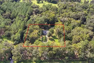 20944 NW 100th Avenue Rd, Micanopy, FL 32667 - Photo 68