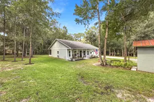 20944 NW 100th Avenue Rd, Micanopy, FL 32667 - Photo 4