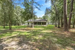 20944 NW 100th Avenue Rd, Micanopy, FL 32667 - Photo 60