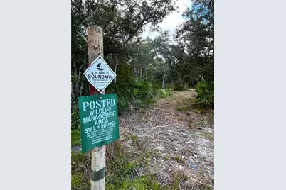 Canal Street, Fanning Springs, FL 32693 - Photo 12