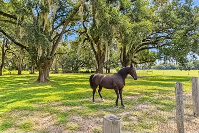 7590 NW 75th Street, Chiefland, FL 32626 - Photo 52