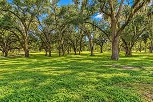 7590 NW 75 St, Chiefland, FL 32626 - Photo 64