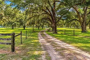 7590 NW 75 St, Chiefland, FL 32626 - Photo 8