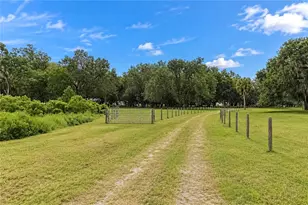 7590 NW 75 St, Chiefland, FL 32626 - Photo 6