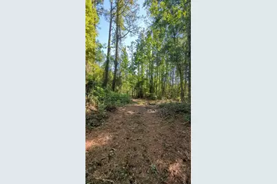Tbd SW 126th Avenue, Lake Butler, FL 32054 - Photo 6