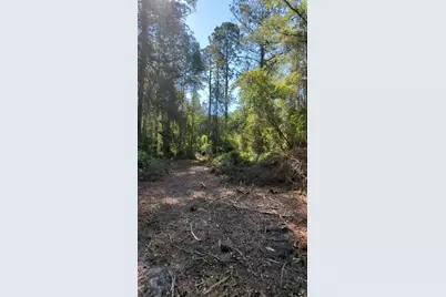 Tbd SW 126th Avenue, Lake Butler, FL 32054 - Photo 4