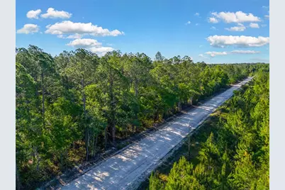 Tbd SW 126th Avenue, Lake Butler, FL 32054 - Photo 2