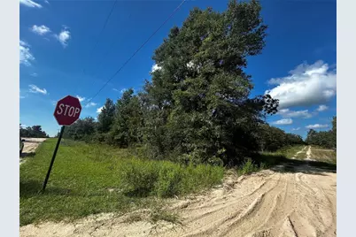 00 NE 115th Ave, Williston, FL 32696 - Photo 2