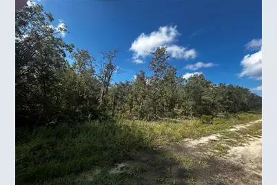 00 NE 115th Ave, Williston, FL 32696 - Photo 6