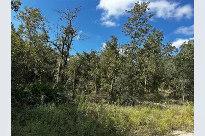 00 NE 115th Ave, Williston, FL 32696 - Photo 4