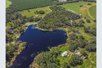 4710 SW 22nd Avenue, Bell, FL 32619 - Photo 4