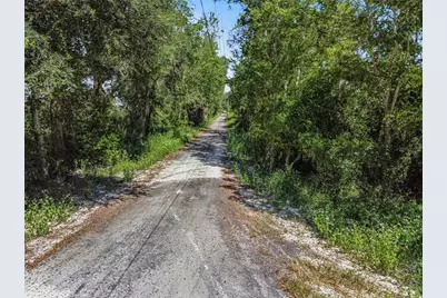 4710 SW 22nd Avenue, Bell, FL 32619 - Photo 22