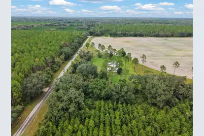 10190 SE County Road 319, Trenton, FL 32693 - Photo 52