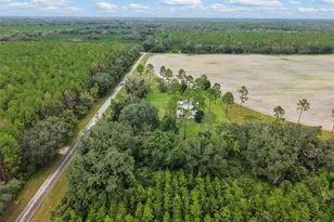 10190 SE Co Rd 319, Trenton, FL 32693 - Photo 52