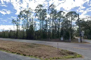 Hwy 19, Otter Creek, FL 32683 - Photo 1