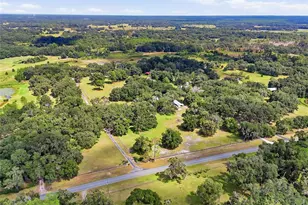 18731 SE 30th St, Morriston, FL 32668 - Photo 58