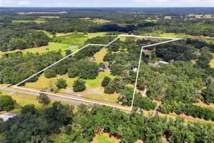 18731 SE 30th St, Morriston, FL 32668 - Photo 56
