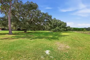 18731 SE 30th St, Morriston, FL 32668 - Photo 50