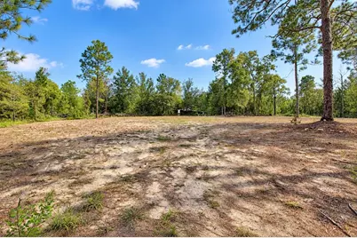419 Lily Trail, Interlachen, FL 32148 - Photo 42